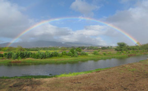 A rainbow over the Pouhala marsh in Waipahu